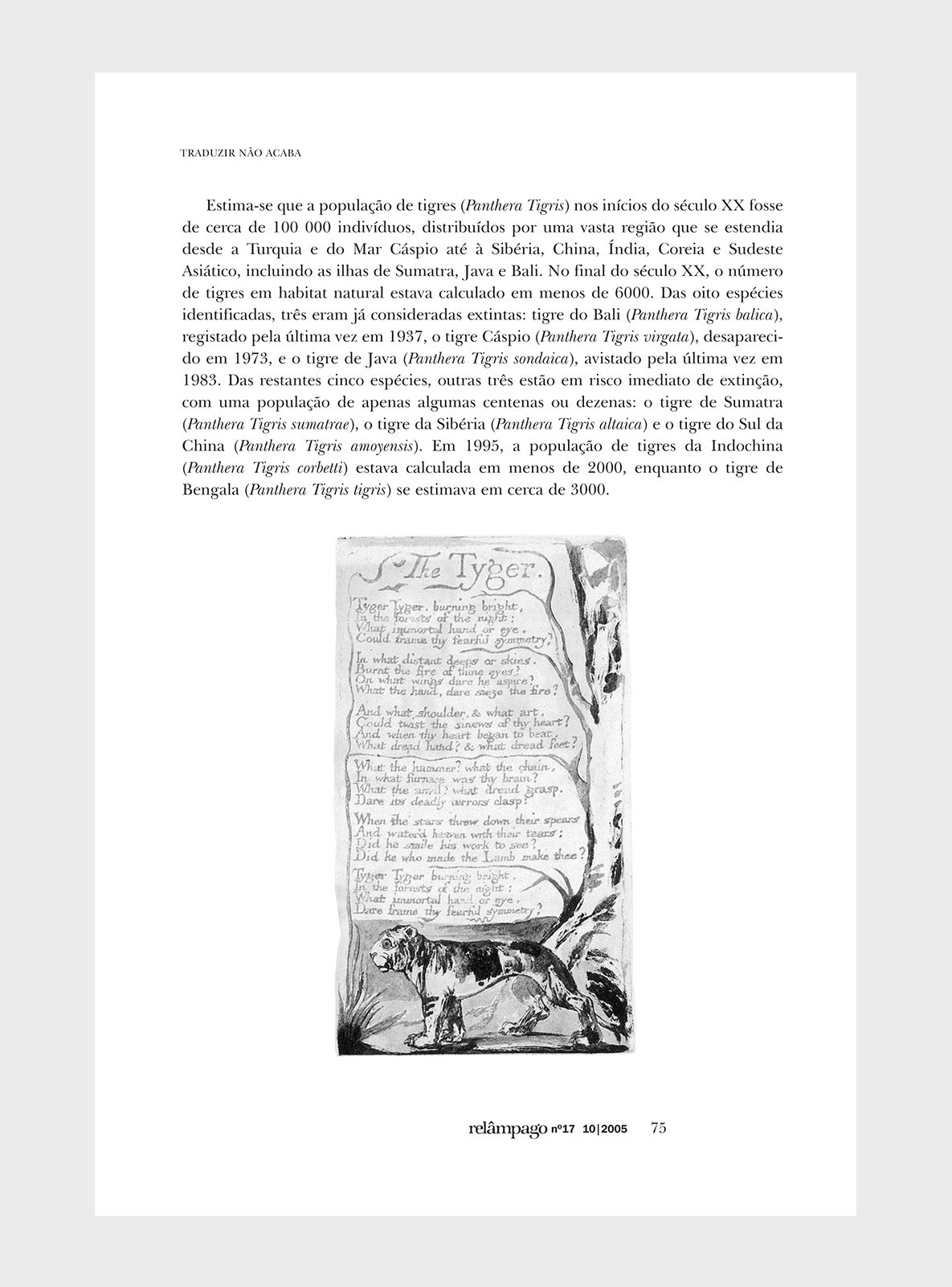 Relâmpago 17 “A tradução de poesia”