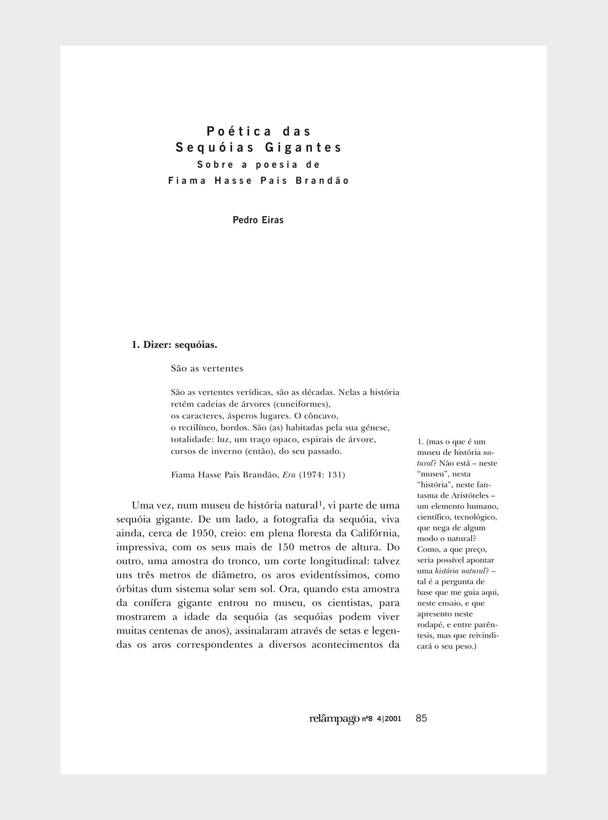 Relâmpago 8 “Fiama Hasse Pais Brandão”